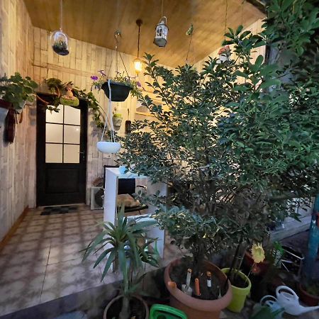 Mr Guest House Tbilisi Exterior foto