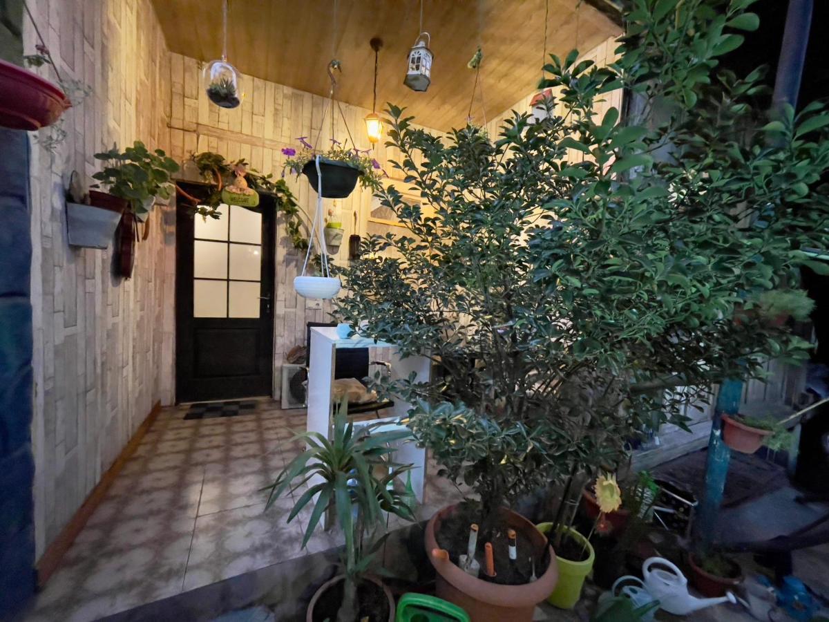 Mr Guest House Tbilisi Exterior foto
